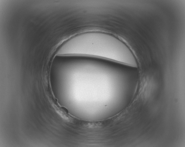 X0000083010345200702020921