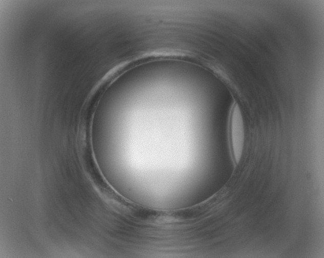 X0000083010348200702020921