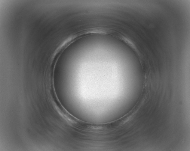 X0000083010349200702020921