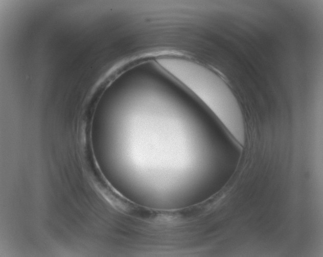 X0000083010350200702020921