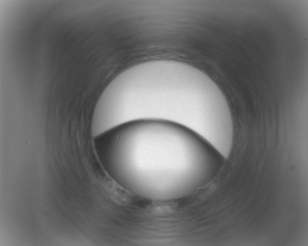 X0000083010368200702020921
