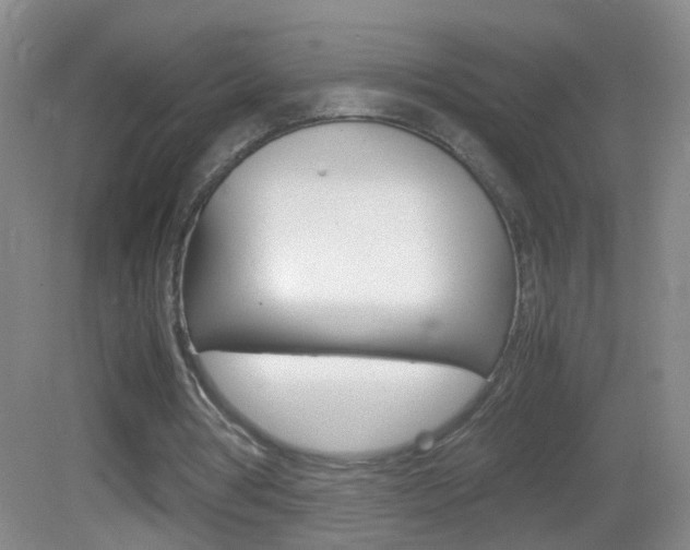 X0000083010386200702020921