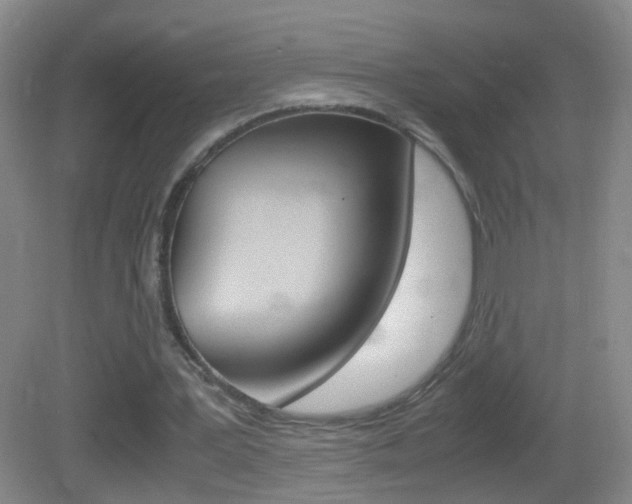 X0000083010387200702020921