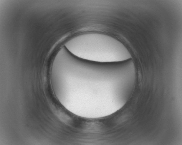 X0000083010396200702020921