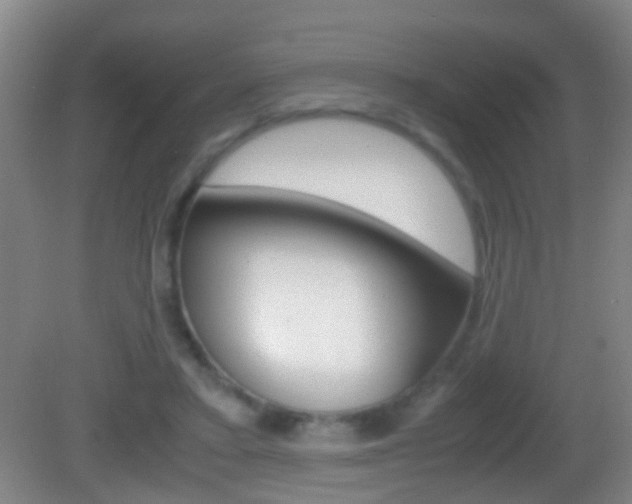 X0000083010403200702020921