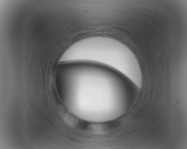 X0000083010417200702020920