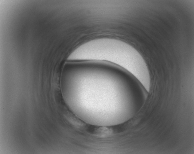 X0000083010421200702020920