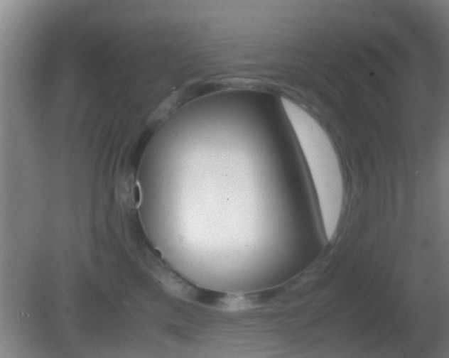 X0000083010425200702020920
