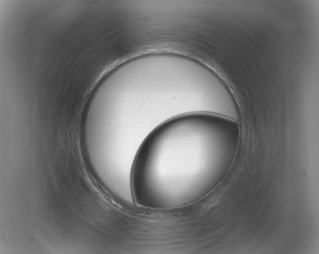 X0000083010434200702020919