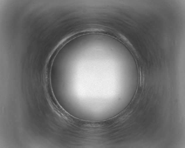 X0000083010435200702020919