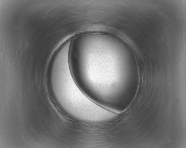 X0000083010436200702020919