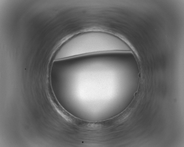 X0000083010437200702020919