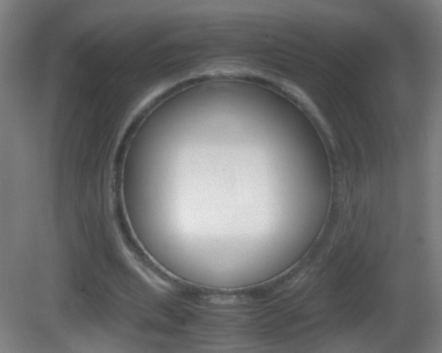 X0000083010439200702020919