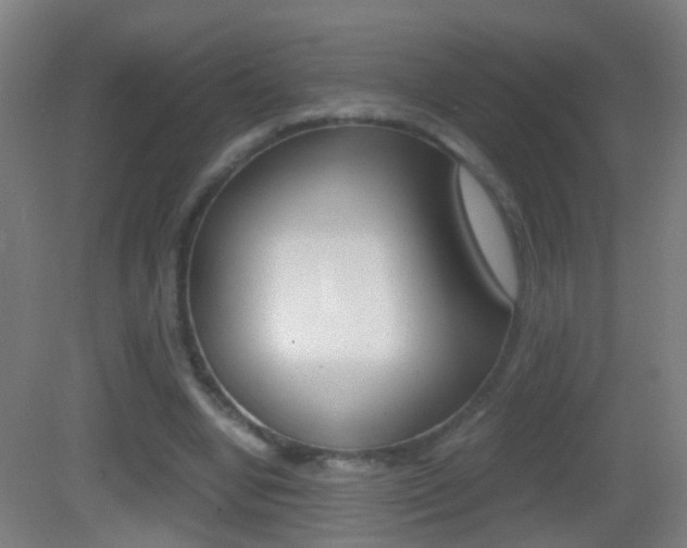 X0000083010442200702020919
