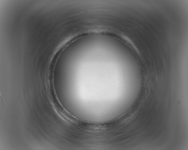 X0000083010443200702020919
