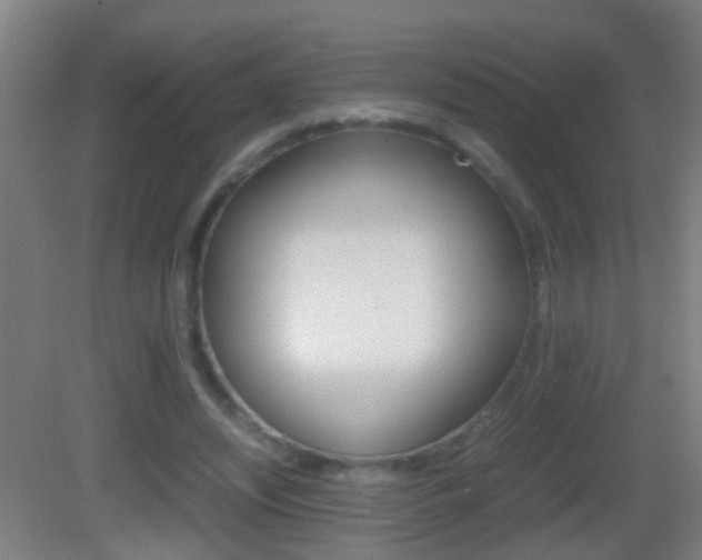 X0000083010444200702020919
