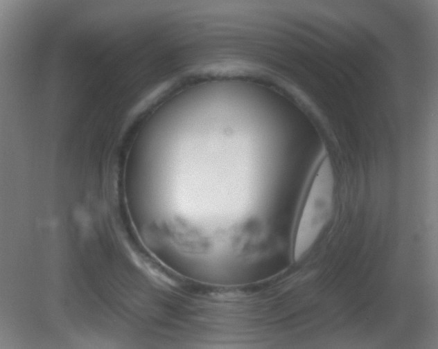 X0000083010446200702020919