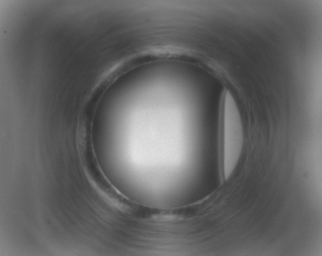 X0000083010448200702020919