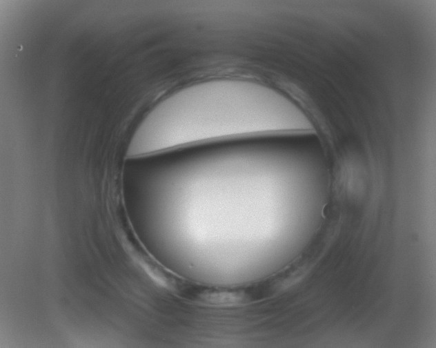 X0000083010449200702020919