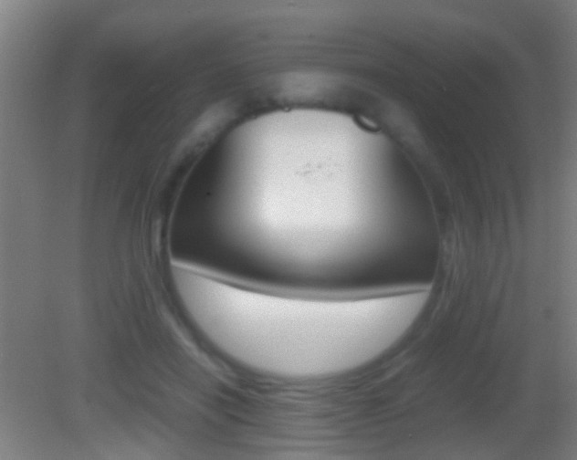 X0000083010454200702020920
