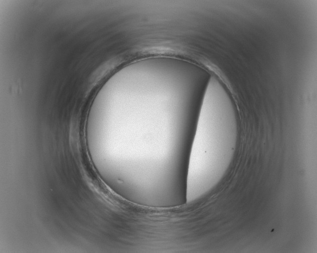 X0000083010482200702020919