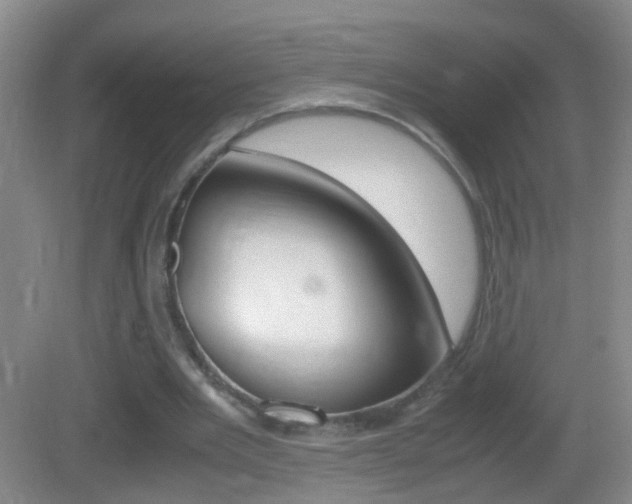 X0000083010485200702020919