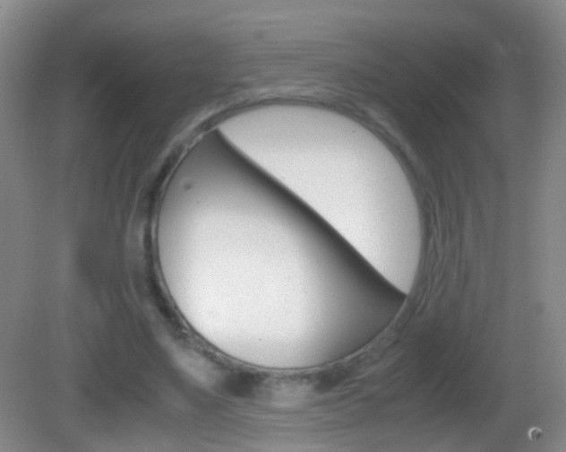 X0000083010491200702020919