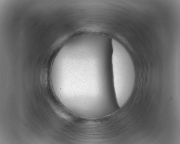 X0000083010494200702020919