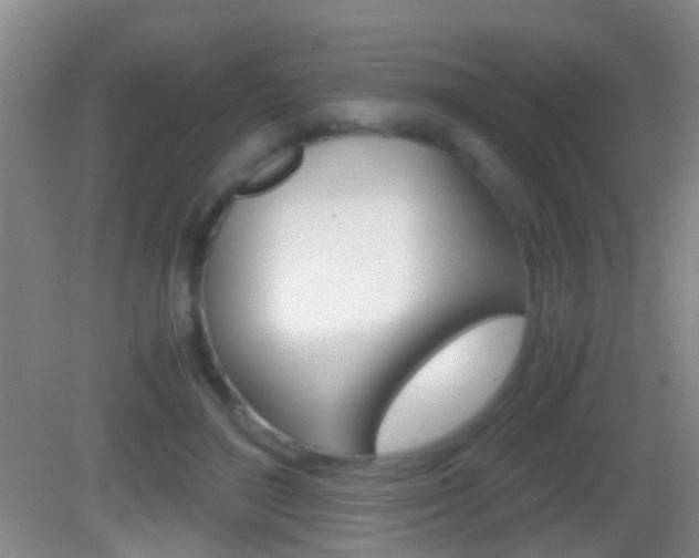 X0000083010500200702020919