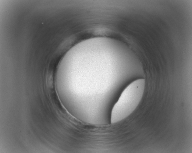 X0000083010502200702020919