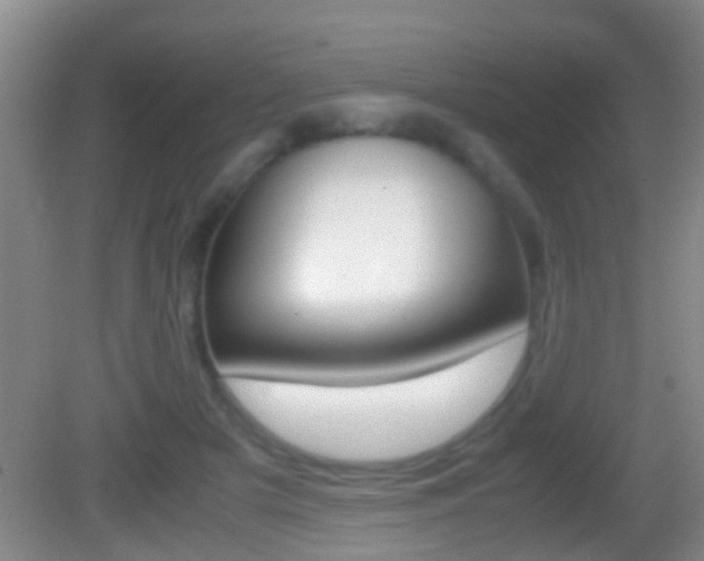 X0000083010505200702020919