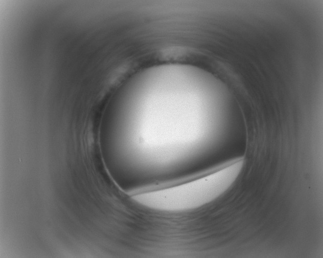 X0000083010508200702020919
