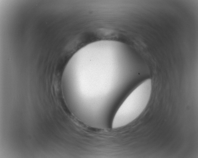 X0000083010515200702020919