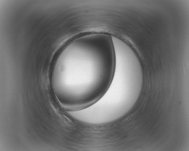 X0000083010532200702020918