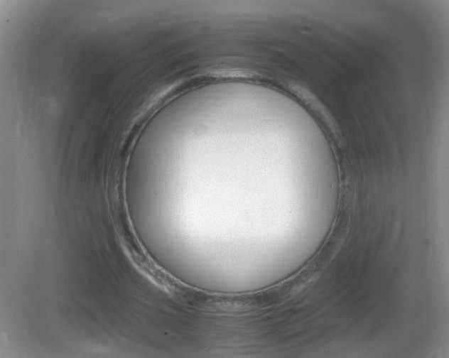 X0000083010533200702020918