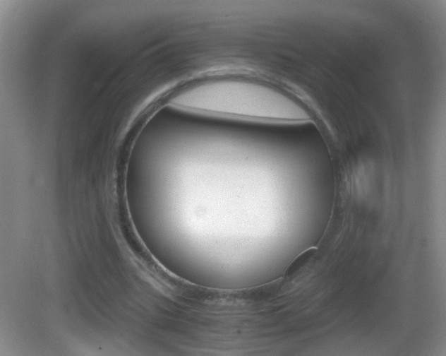 X0000083010535200702020918