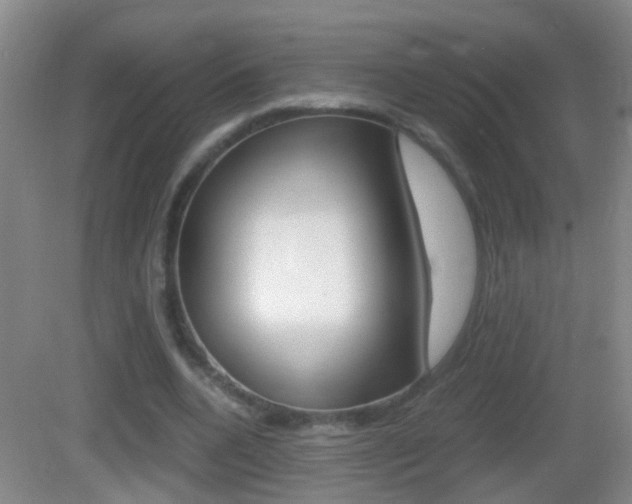 X0000083010536200702020918