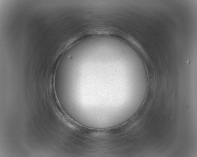 X0000083010537200702020918