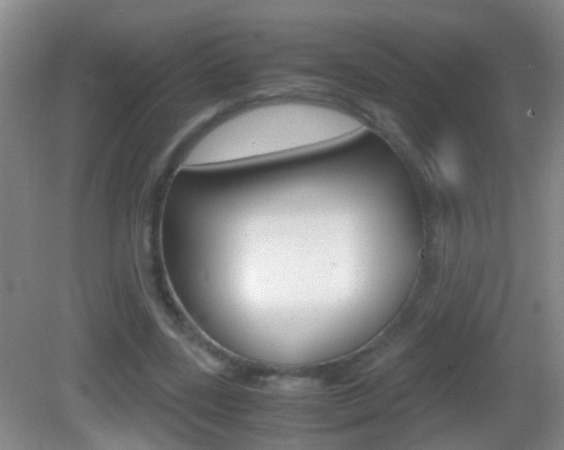 X0000083010539200702020918