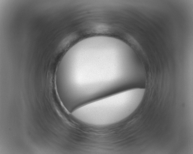 X0000083010542200702020918