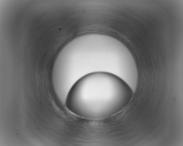 X0000083010546200702020918