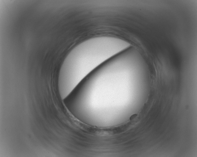 X0000083010549200702020918
