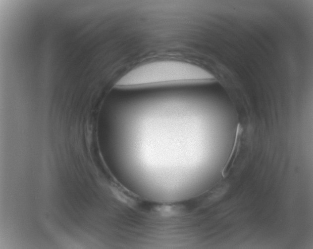 X0000083010558200702020918