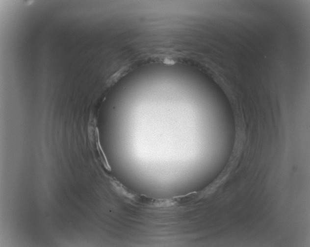 X0000083010576200702020918