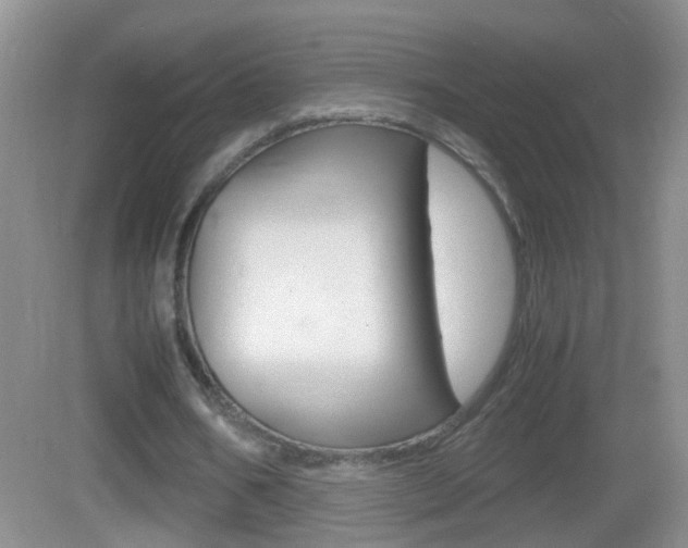 X0000083010578200702020918