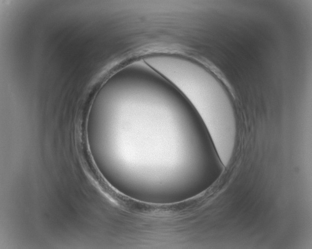 X0000083010581200702020918