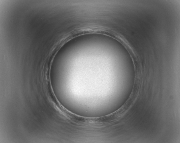 X0000083010585200702020917