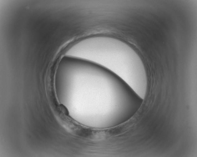 X0000083010587200702020917