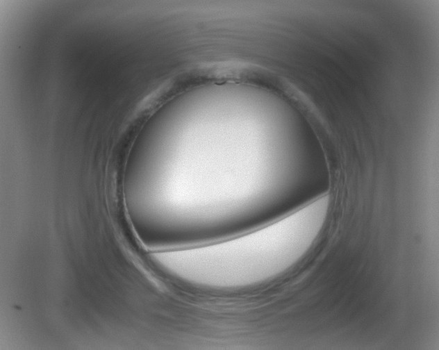 X0000083010589200702020917