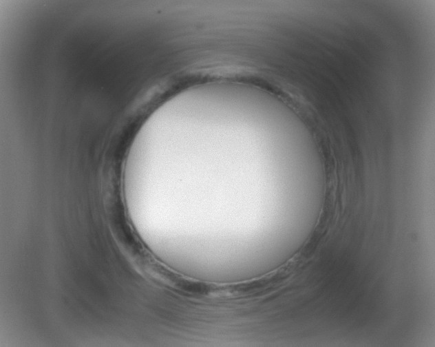 X0000083010591200702020917